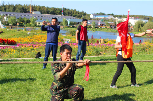 1513695333878780.jpg IMG_1339.jpg