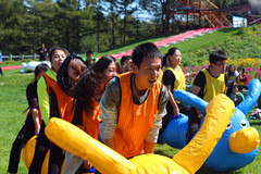 1515051037913189.jpg IMG_0984_副本.jpg