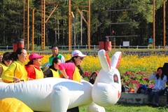 1515051069786301.jpg IMG_1270_副本.jpg