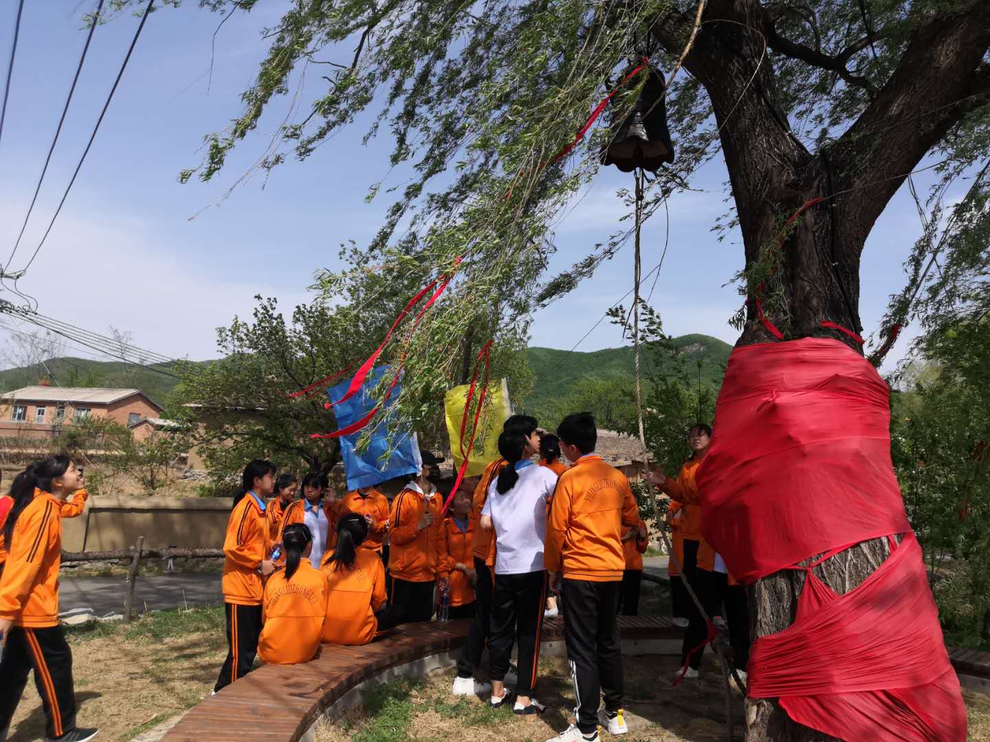 1558332172669140.jpg 029f54052d21d52691d3a9585150f9c.jpg