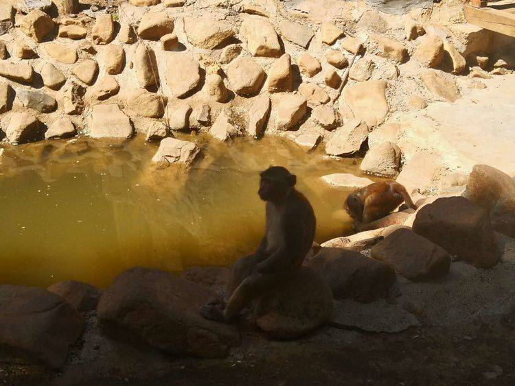 1561620268983644.png image.png