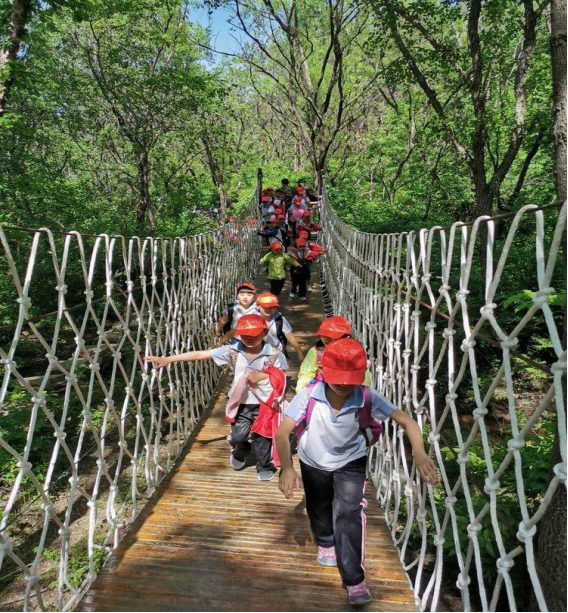 1561620560195454.png image.png