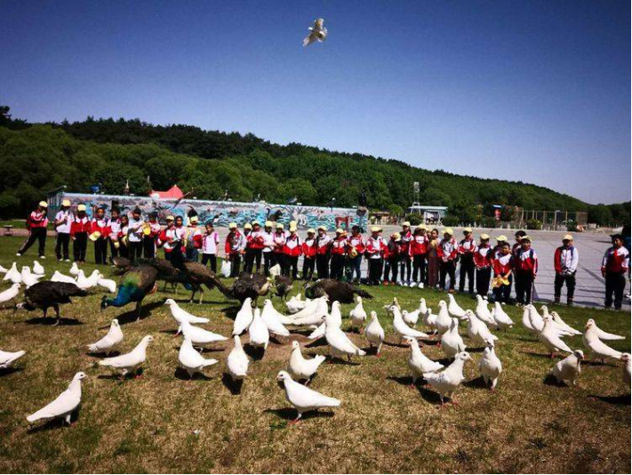 1561620616294336.png image.png