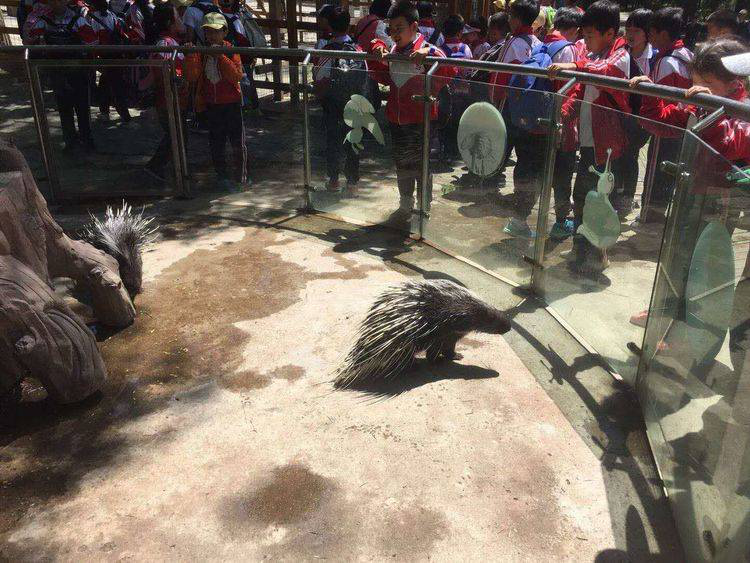 1561620719934252.png image.png