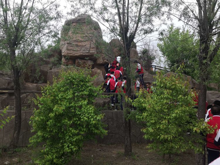 1565319514437986.png image.png