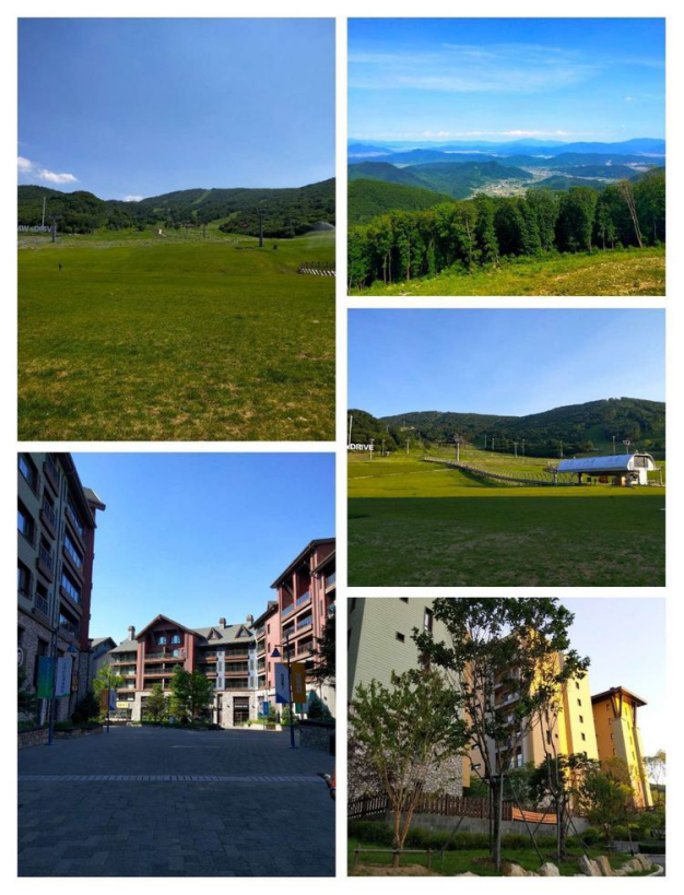 1565420566509700.png image.png