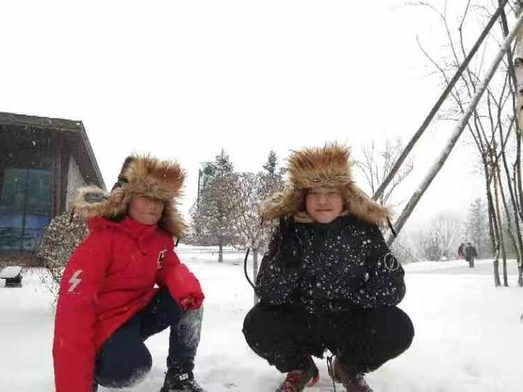 1578375446181647.png image.png