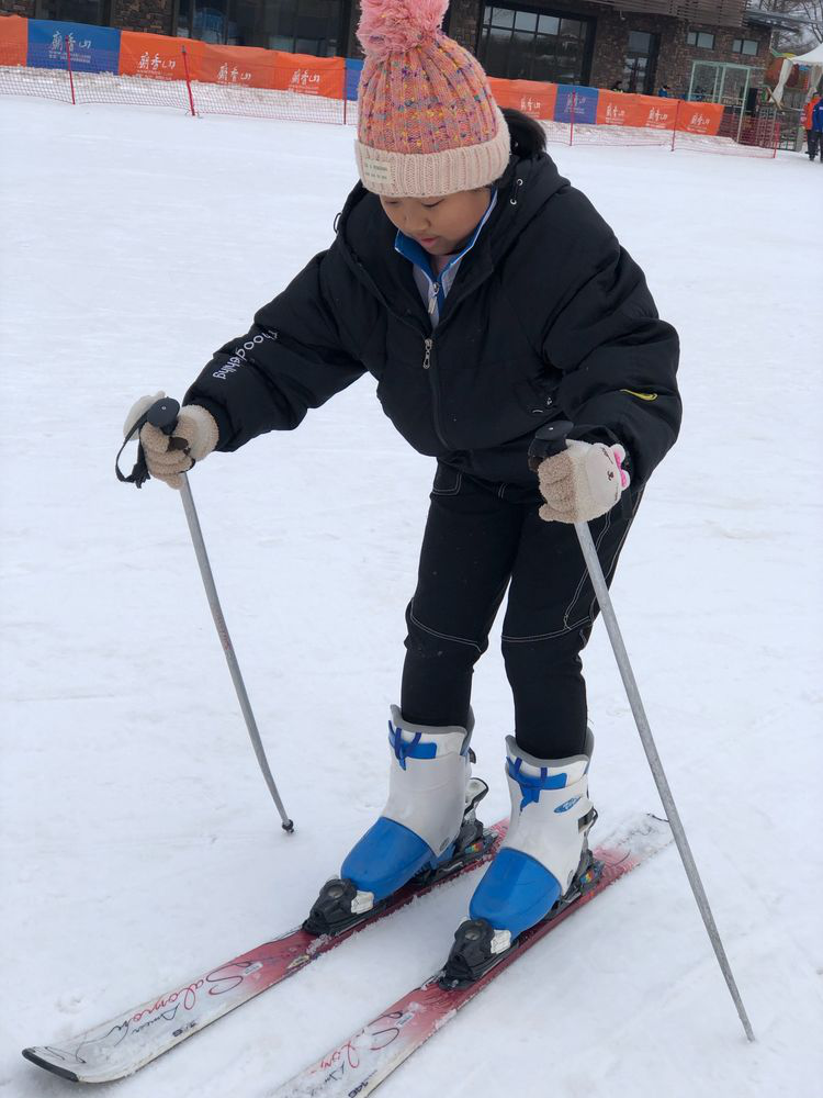 1578379331670555.png image.png