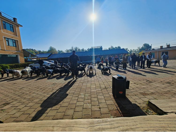 1698995376396695.png image.png